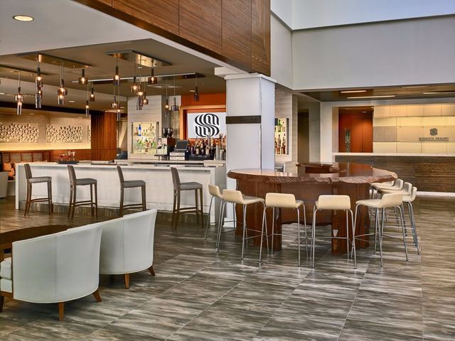 hospitality sonesta resort hilton bar and